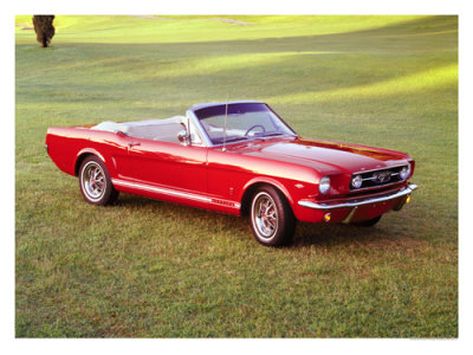 Hire FORD MUSTANG 1966 Rentals in WHEELERS HILL Melbourne DriveMyCar 